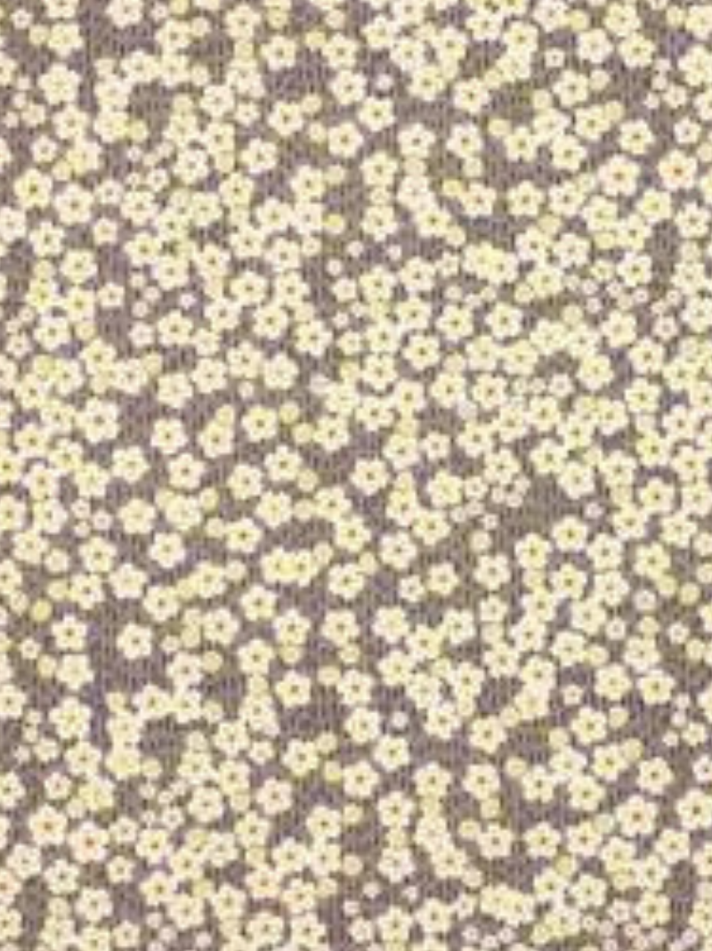 48B7B98A-0389-4368-AC65-AD4CEADF0C2A